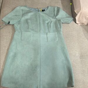 Tahari Women's Dress in Soft Green